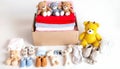 collection of baby carefully teddy bears Royalty Free Stock Photo