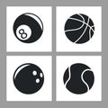 Collection balls sport icons black and white Royalty Free Stock Photo