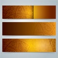 Collection banner design, African art background.