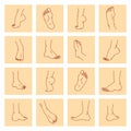Collection of bare human man and woman feet arranged in different poses  isolated on light background. Royalty Free Stock Photo