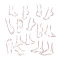 Collection of bare human man and woman feet arranged in different poses isolated on white background.