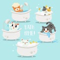 The collection of bathtime of cat Royalty Free Stock Photo
