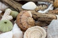 Collection of beach findings Royalty Free Stock Photo