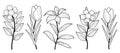 Black White Flower Illustration Vector Collection
