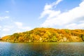 Collection of Beautiful Colorful Autumn Leaves reflected in the water