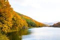 Collection of Beautiful Colorful Autumn Leaves reflected in the water