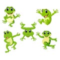 The collection of the beautiful green frog in the different posing