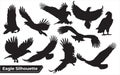 Collection of bird eagle silhouettes in different positions