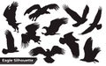 Collection of bird eagle silhouettes in different positions Royalty Free Stock Photo