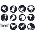 Collection of bird logos