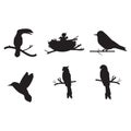 collection of birds silhouette. Vector illustration decorative design Royalty Free Stock Photo