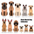 Collection of black muzzle dog