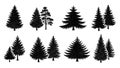 Collection of Black Pine Tree Silhouettes on White Background Royalty Free Stock Photo