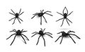 Collection black realistic spider vector illustration dangerous insect symbol of Halloween or phobia