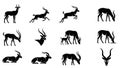 Collection of black silhouettes of antelopes in various poses on white background Royalty Free Stock Photo
