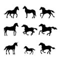 Collection of black silhouettes of horses. Isolated detailed drawing of mustang on white background. Side view Royalty Free Stock Photo