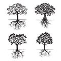 Collection of Black Trees and Roots. Vector Illustration. Royalty Free Stock Photo