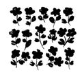 Collection of black vector flower silhouette with leaves. Floral grunge elements. Botanical clip art isolated on white Royalty Free Stock Photo