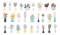Collection of blooming flowers in vases and bottles isolated on white background. Set of decorative floral design Royalty Free Stock Photo