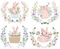 Collection of blooming wreaths and cute rabbit inside. Spring-summer flowering. Bright compositions for your design