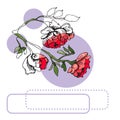 Collection  of blossoming red  flowers of rose, lilac circles and frames. Hand drawn ink  and colored sketch. Royalty Free Stock Photo