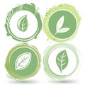 Collection of botanical icons with various leaf designs in round green frames Royalty Free Stock Photo