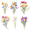 Collection of bouquets of bright summer meadow flowers and plants Royalty Free Stock Photo