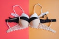 Collection of bras on pink and yellow background, top view Royalty Free Stock Photo