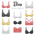 Collection of bras. Women`s underwear icons.