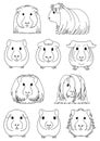 Collection of breeds of guinea pig line art