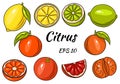 Collection of bright citrus fruits. Lemon, Lime, Grapefruit, Orange, Mandarin. Whole fruit and cut into pieces. Royalty Free Stock Photo
