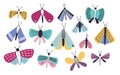 Collection of bright colored cartoon moths of different types and sizes isolated on white background. Nocturnal flying