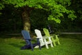 Collection of bright lawn chairs situated on a grassy field near trees