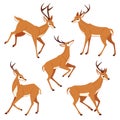 A collection of brown deer and antelopes in various running poses isolated on white Royalty Free Stock Photo