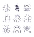 Collection bugs natural animal cartoon in linear style