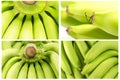 Collection of Bunch of bananas Macro shot