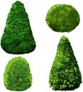 Collection of Bushes and Cypress Royalty Free Stock Photo
