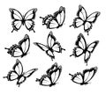 Collection of butterflies, flying in different directions.