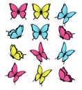 Collection of butterflies