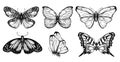 Collection of butterfly drawings for your design. Hand drawn sketch set of insects. Monochrome image of butterflies Royalty Free Stock Photo