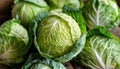 collection cabbage Royalty Free Stock Photo