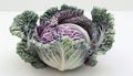 collection cabbage Royalty Free Stock Photo