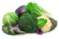 Collection cabbage Royalty Free Stock Photo
