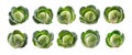 Collection of cabbages isolated isolated on transparent background