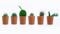 Collection cactus with a brown pot isolated on white background