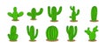 Collection of Cactus Plant Vector Designs