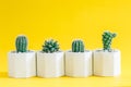 Collection cactus or succulent plants in pots, over yellow background