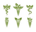 Collection of Caduceus illustrations composed with poisonous snakes and bird wings, healthcare conceptual vector illustrations. A