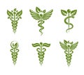 Collection of Caduceus illustrations composed with poisonous snakes and bird wings, healthcare conceptual vector symbols.