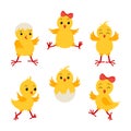 Collection cartoon chikens for easter design. Royalty Free Stock Photo
